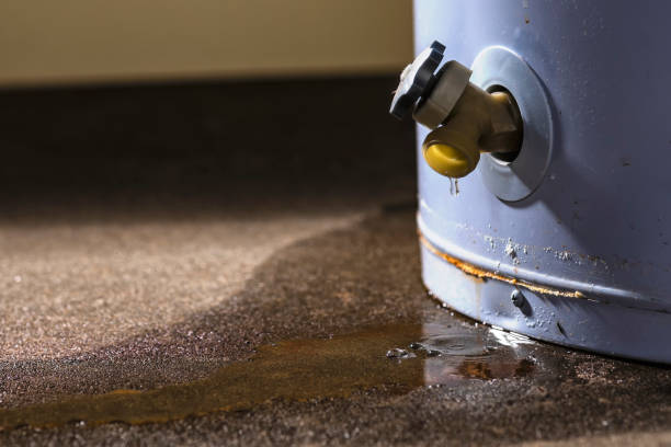 Best Flood restoration services  in Rimersburg, PA