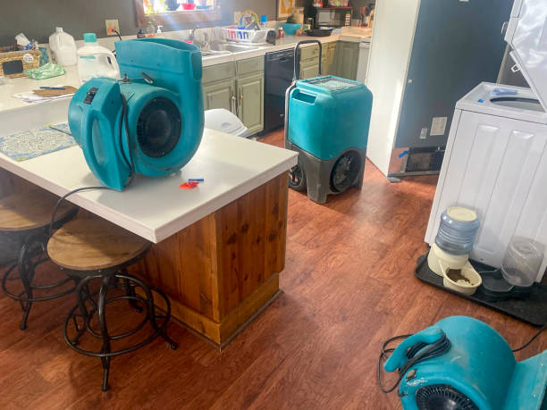 Best Local water damage restoration  in Rimersburg, PA