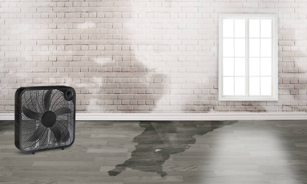 Best Commercial water damage restoration  in Rimersburg, PA
