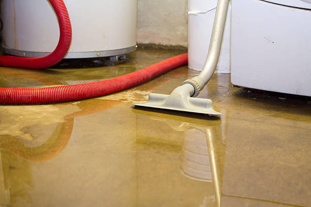 Best Mold removal after water damage  in Rimersburg, PA