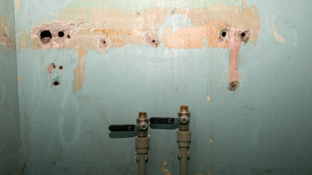 Best Flooded house restoration  in Rimersburg, PA