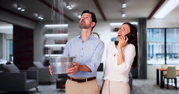 Best Carpet water damage restoration  in Rimersburg, PA