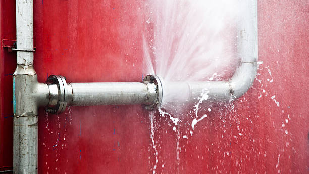 Best Flood damage cleanup  in Rimersburg, PA