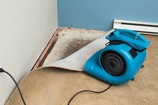 Best Water damage restoration near me  in Rimersburg, PA