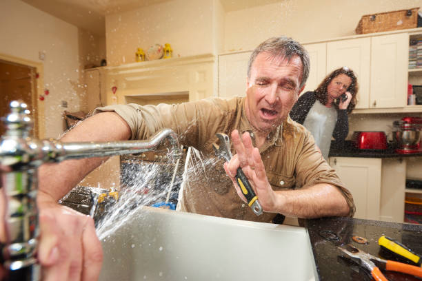 Best Water damage mitigation services  in Rimersburg, PA